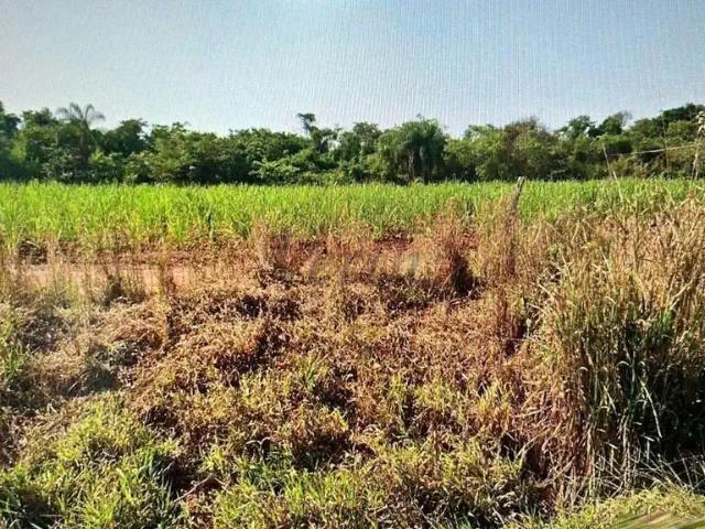 Fazenda venda em Região Imediata de Araras, Região Metropolitana de Piracicaba