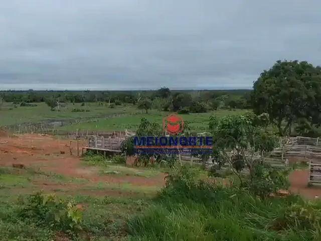 Fazenda venda em Arari, Região Nordeste