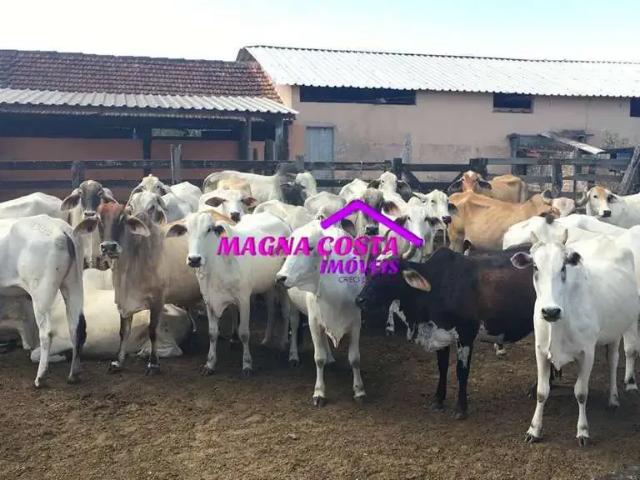 Fazenda venda em Região Geográfica Imediata de Cabo Frio, Araruama