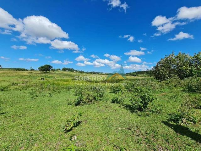 Fazenda venda em Região Geográfica Imediata de Cabo Frio, Araruama