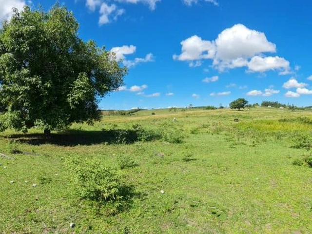 Fazenda venda em Araruama, Região Geográfica Intermediária de Macaé-Rio das Ostras-Cabo Frio