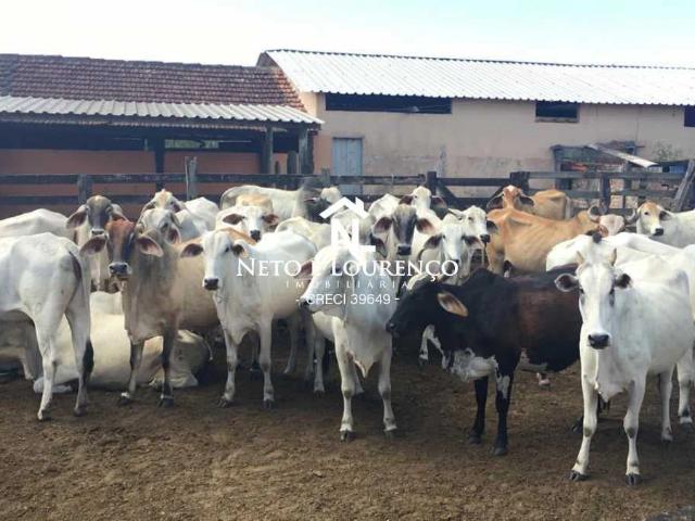 Fazenda venda em Araruama