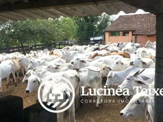 Fazenda venda em Região Geográfica Imediata de Nova Friburgo, Duas Barras