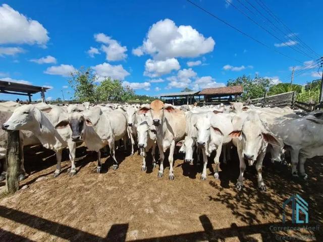 Fazenda venda em Região Geográfica Imediata de Cabo Frio, Araruama