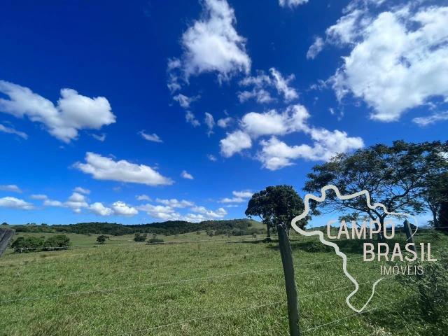 Fazenda venda em Araruama