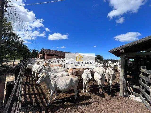 Fazenda venda em Araruama