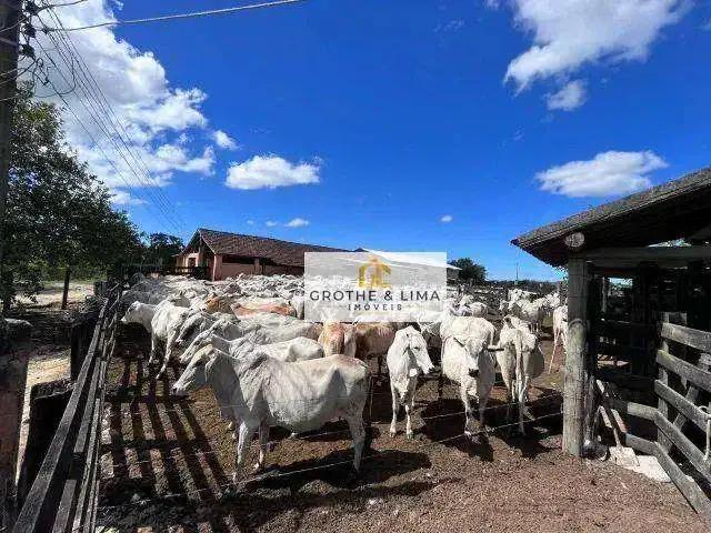 Fazenda venda em Região Geográfica Imediata de Cabo Frio, Araruama