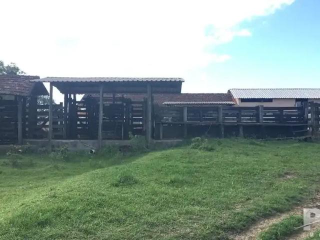 Fazenda venda em Região Geográfica Imediata de Cabo Frio, Araruama