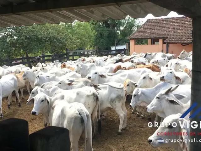 Fazenda venda em Região Geográfica Imediata de Cabo Frio, Araruama