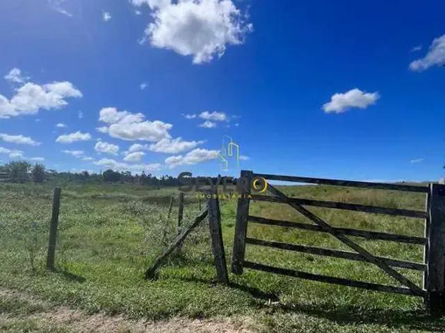 Fazenda venda em Região Geográfica Imediata de Cabo Frio, Araruama