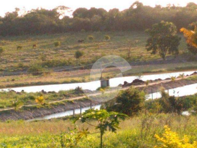 Fazenda venda em Região Geográfica Imediata de Cabo Frio, Araruama