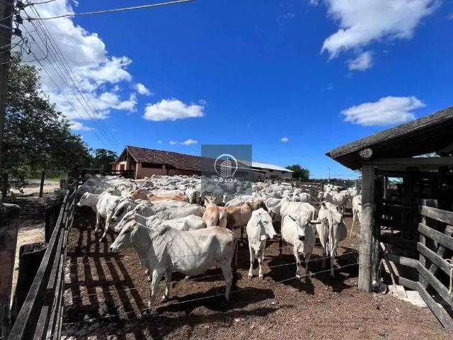 Fazenda venda em Região Geográfica Imediata de Cabo Frio, Araruama