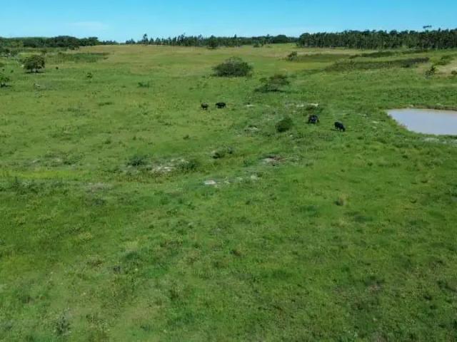Fazenda venda em Região Geográfica Imediata de Cabo Frio, Araruama
