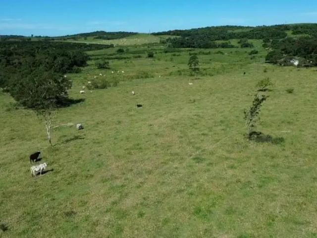 Fazenda venda em Região Geográfica Imediata de Petrópolis, Areal