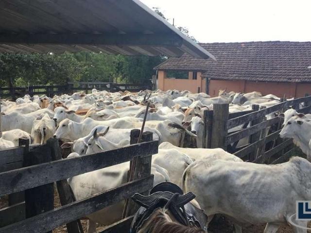 Fazenda venda em Região Geográfica Imediata de Cabo Frio, Araruama