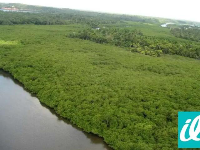 Fazenda venda em Região Geográfica Imediata de Nazaré – Maragogipe, Aratuípe