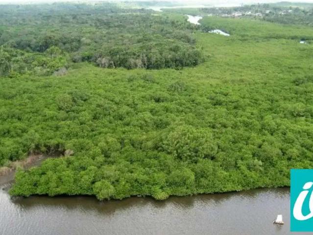 Fazenda venda em Região Geográfica Imediata de Nazaré – Maragogipe, Aratuípe