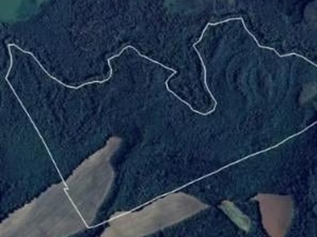 Fazenda venda em Região Geográfica Imediata de Curitiba, Região Metropolitana de Curitiba