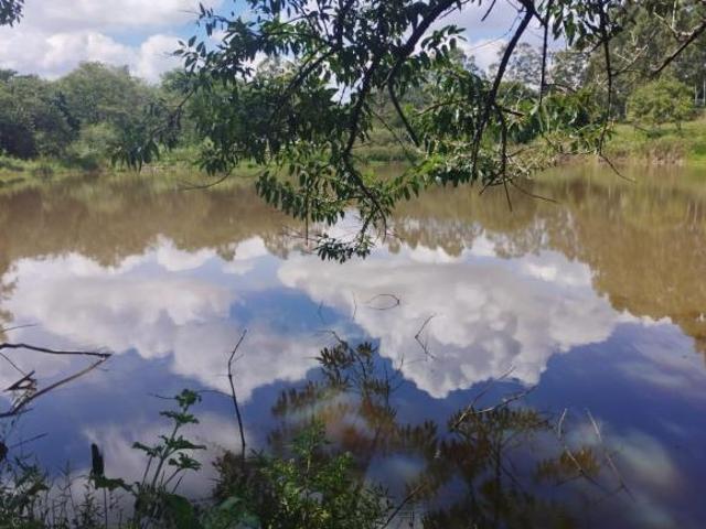 Sítio e chácara venda em Região Geográfica Imediata de Guaxupé, Arceburgo