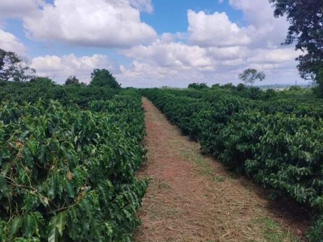 Sítio e chácara venda em Arceburgo, Região Geográfica Intermediária de Varginha