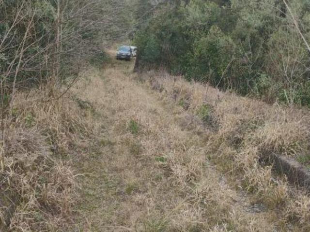 Sítio e chácara venda em Apiaí