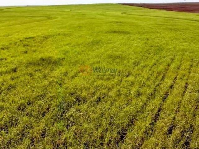 Sítio e chácara venda em Região Imediata de Araçatuba, Araçatuba