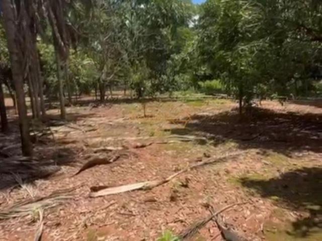 Sítio e chácara venda em Região Geográfica Imediata de Uberlândia, Araguari