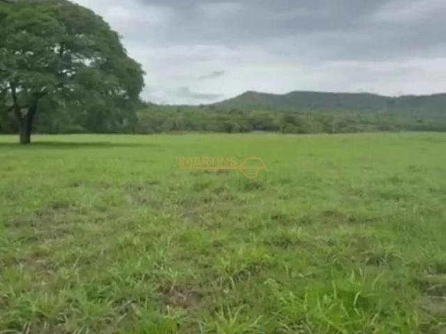 Sítio e chácara venda em Centro, Araguari