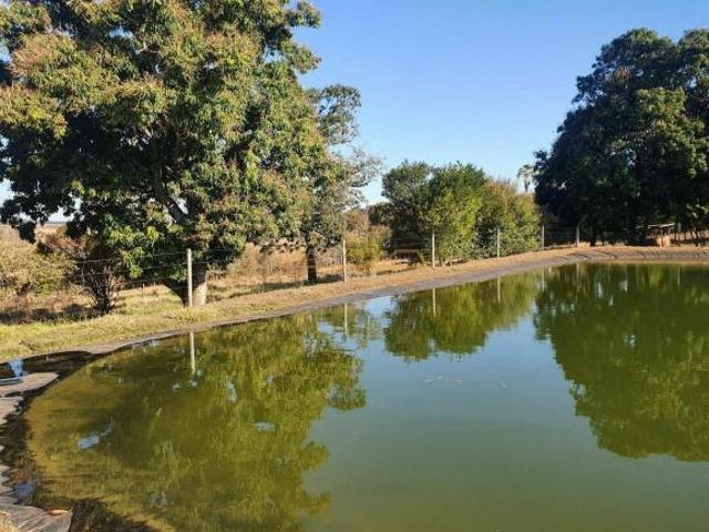 Sítio e chácara venda em Jóquei Clube, Araguari