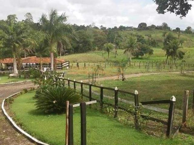 Sítio e chácara venda em Centro, Araguari