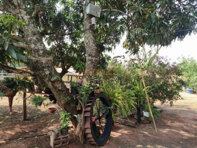 Sítio e chácara venda em Jóquei Clube, Araguari