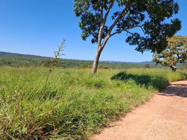 Sítio e chácara venda em Centro, Araguari