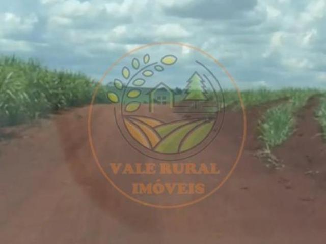 Sítio e chácara venda em Região Imediata de Araraquara, Araraquara