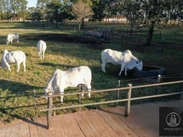 Sítio e chácara venda em Região Imediata de Avaré, Avaré