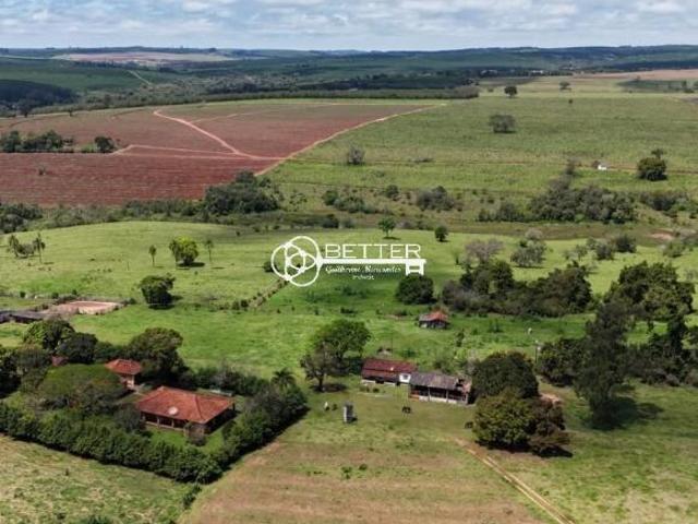 Sítio e chácara venda em Avaré