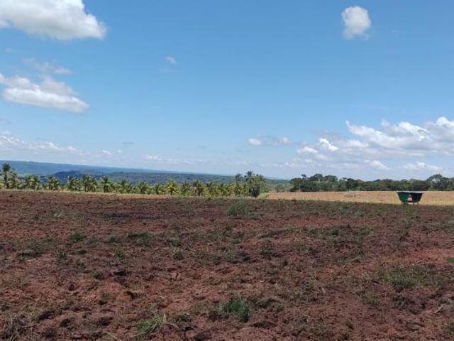 Sítio e chácara venda em Região Imediata de Bauru, Bauru