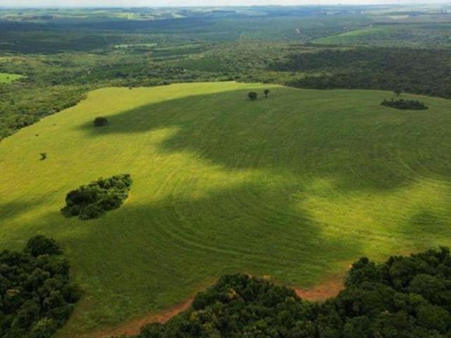 Sítio e chácara venda em Bauru