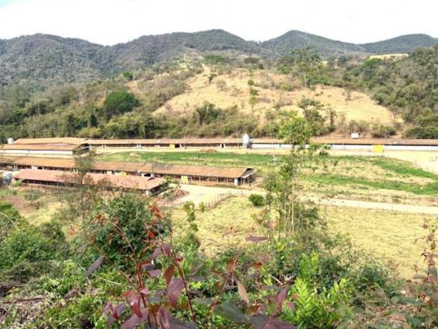 Sítio e chácara venda em Região Imediata de Jundiaí, Cabreuva