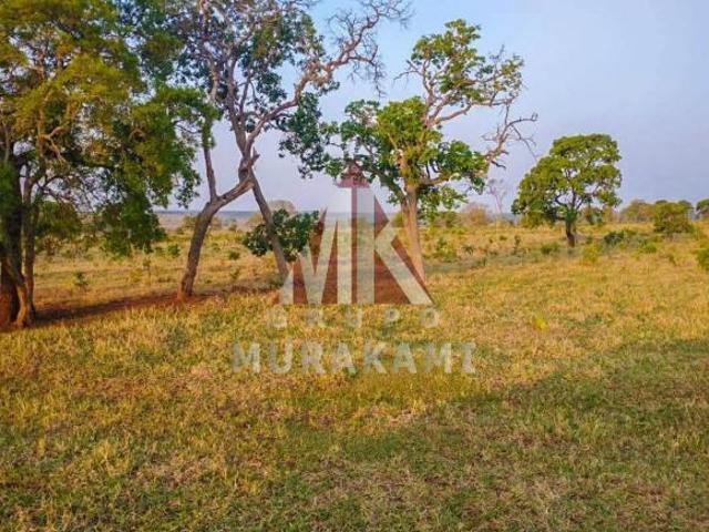Sítio e chácara venda em Região Geográfica Imediata de Campo Grande, Campo Grande