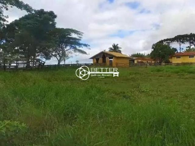 Sítio e chácara venda em Região Imediata de Itapeva, Capão Bonito