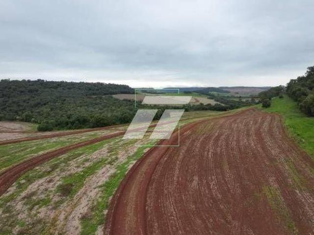 Sítio e chácara venda em Região Geográfica Imediata de Cascavel, Cascavel
