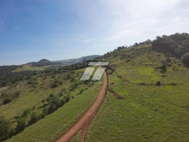 Sítio e chácara venda em Região Geográfica Imediata de Cascavel, Cascavel
