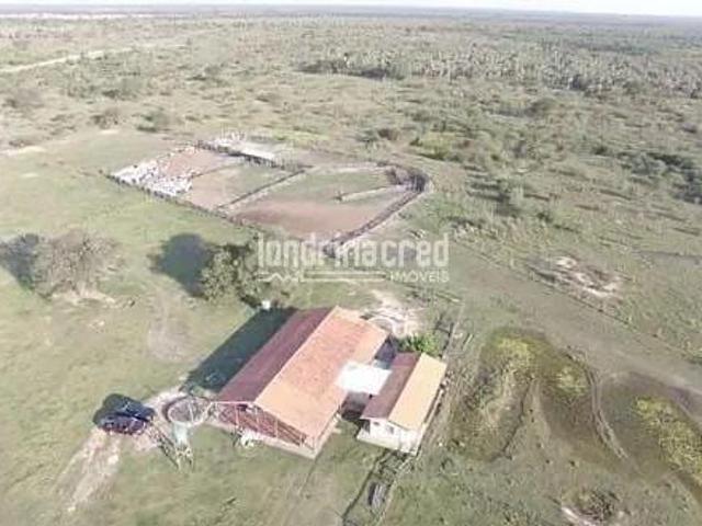 Sítio e chácara venda em Região Geográfica Imediata de Corumbá, Corumba
