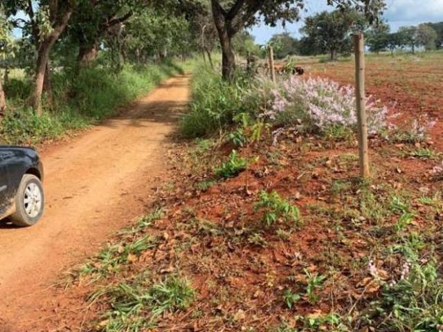 Sítio e chácara venda em Região Geográfica Imediata de Curvelo, Curvelo