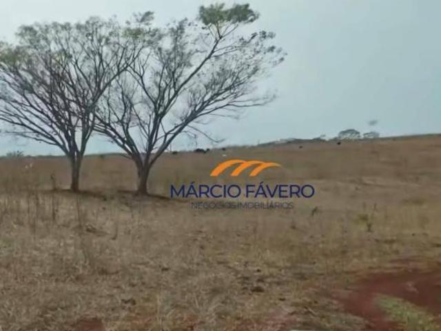 Sítio e chácara venda em Região Imediata de São Carlos, Dourado