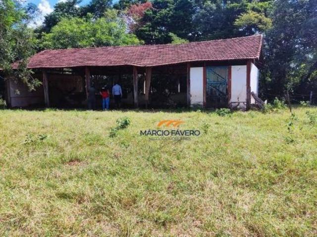 Sítio e chácara venda em Região Imediata de São Carlos, Dourado