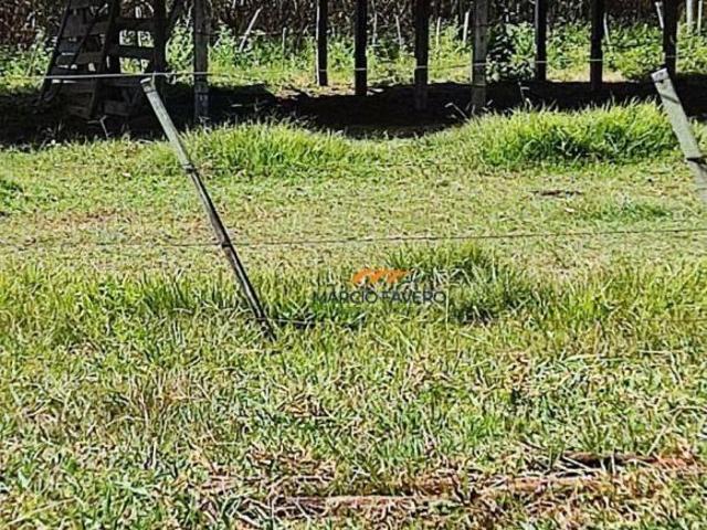 Sítio e chácara venda em Dourado