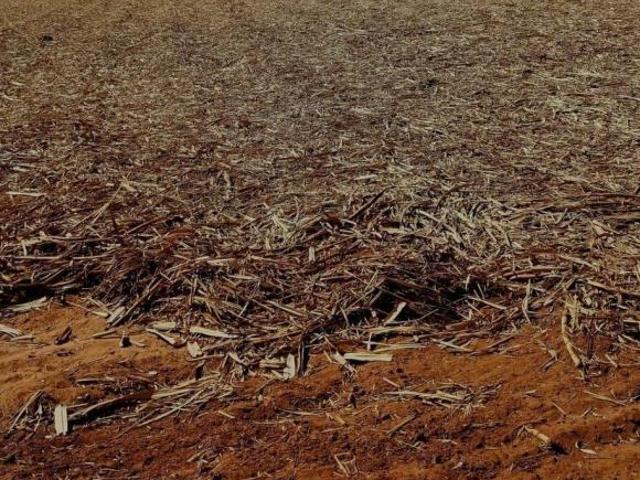 Sítio e chácara venda em Região Imediata de Franca, Juranda