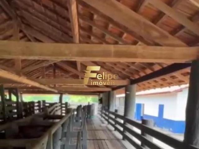 Sítio e chácara venda em Região Geográfica Imediata de Governador Valadares, Governador Valadares