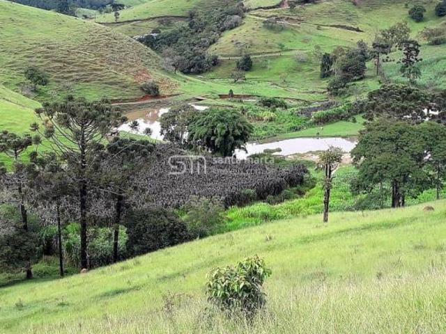 Sítio e chácara venda em Região Imediata de Guaratinguetá, Região Metropolitana do Vale do Paraíba e Litoral Norte